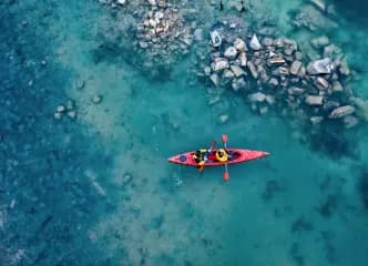 The principles of true art is not to portray, but to evoke